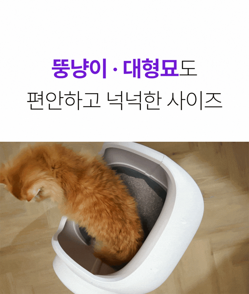 7d7891ddd445109470625c7501fa959b_1772527246_1072.gif